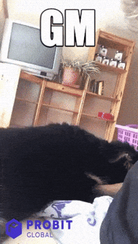 Funny-wake-up GIFs - Get the best GIF on GIPHY Funny-wake-up GIFs - Get the best GIF on GIPHY