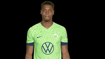 Bundesliga No GIF by VfL Wolfsburg