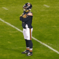 Chicago Bears GIF