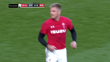celebrate gareth anscombe GIF by Guinness Six Nations