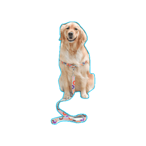 PetSafe Sticker