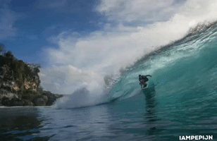 in the wave GIF