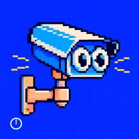 The Roost Crypto GIF by midnightnetwork