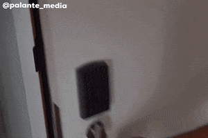 Trick Or Treat Reaction GIF by Martha of Miami