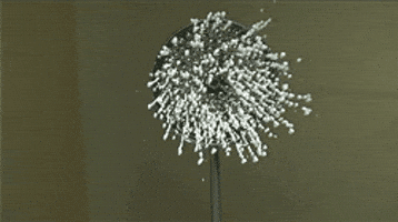 Water Dripping GIFs - Find & Share on GIPHY