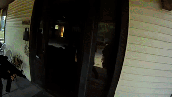 Swat GIF
