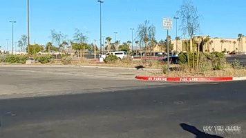 Waving See Ya GIF by Off The Jacks