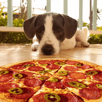 Dominos Pizza GIF by Domino’s UK and ROI