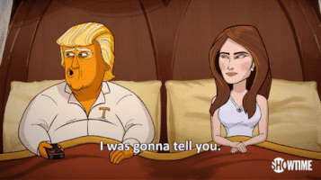 season 1 trump GIF by Our Cartoon President