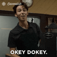 okey dokey ok GIF by CBC