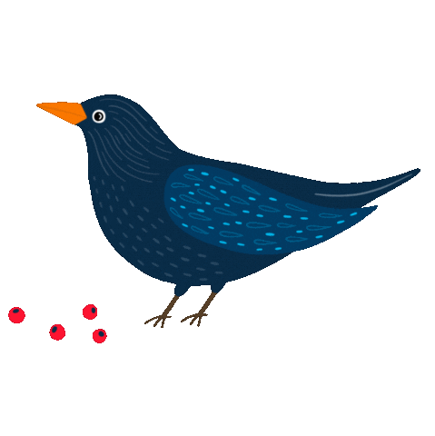 Birds Blackbird Sticker by fleurandmimi