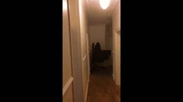 Ben O'Brien GIF