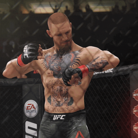 fight mcgregor GIF by EA SPORTS UFC