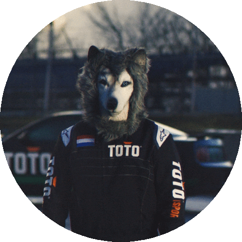 Formula 1 Sport Sticker by Toto