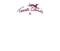 Fun Dog Sticker by Terra Canis