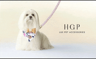 Hgp Pet Accessories GIF by Happy Go Puppy Luxury Pet Accessories