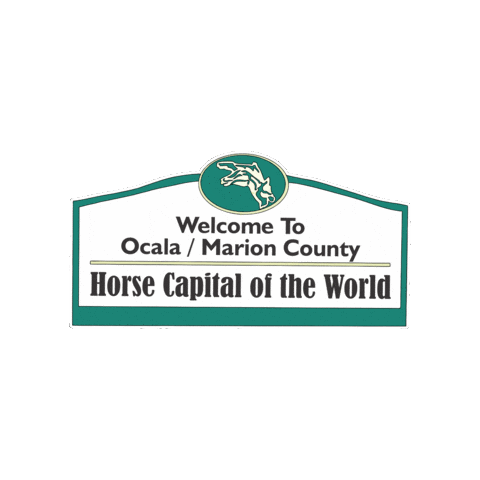 Ocala Fl Sticker By Smallcity Gif