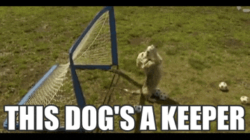 jonmarkbaldwin  GIF