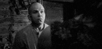 Mootorsaed laulsid GIF