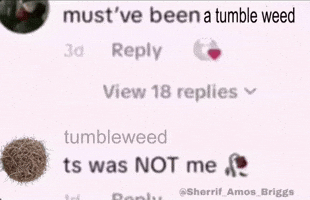 Cowboy Must Have Been The Wind GIF