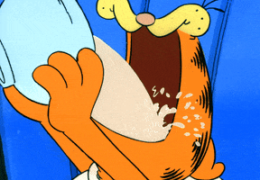cat soda GIF by Garfield