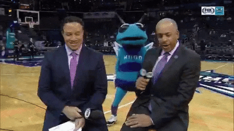 Hugo-the-hornet GIFs - Get the best GIF on GIPHY