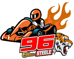 Race Car Thumbs Up Sticker by 96racing
