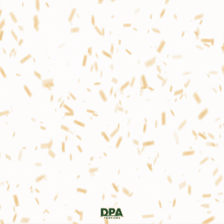 Workiversary GIF by DPA Auctions