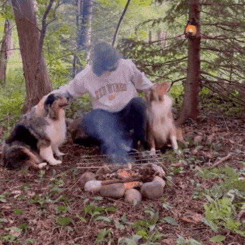 Dog Camping GIF by Old Time Hawkey
