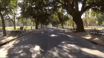 Bike Ride GIF