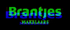Makelaar Te Koop GIF by Bambuu