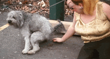 Dogs Eating Dogs GIFs - Find & Share on GIPHY
