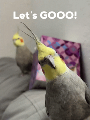 Lets Go GIF