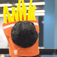 Hungry French Bulldog GIF by CBC