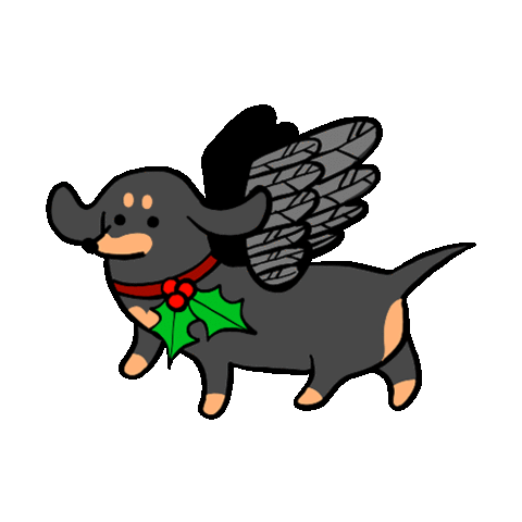 Source: Stefanie Shank Source: Stefanie Shank