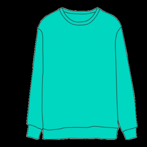 Sweatshirt Ruga GIF by KAFT