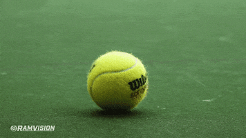 200.gif?cid=fc005b08bab0cfc068be29fc43e27f7536d754791c914773&rid=200.gif&ct=g