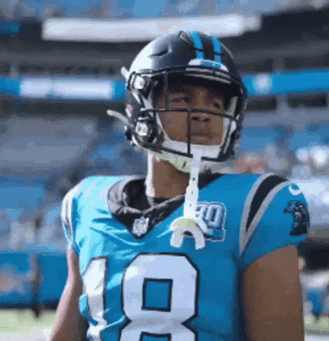 Panthers Femboy GIF