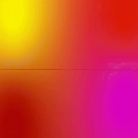 GIF by World Public Transport Day