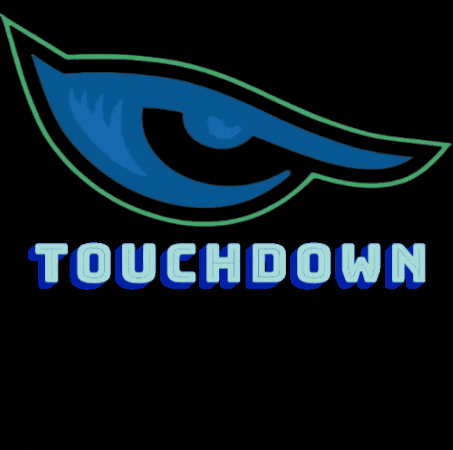 Touchdown Td GIF by Halcones UV Football
