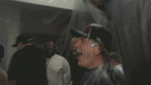 Detroit Tigers GIF - Find & Share on GIPHY