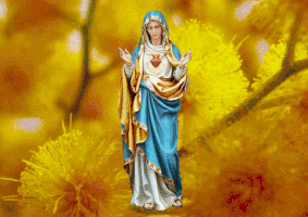 croixacier  GIF