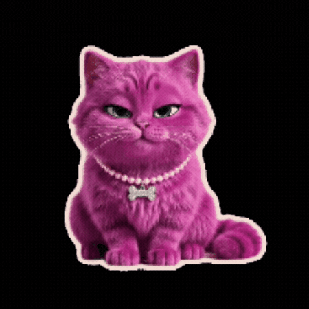 Kočka GIF by LOUIE