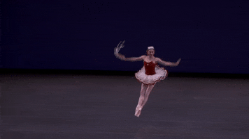 megan fairchild dance GIF by New York City Ballet