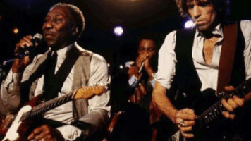 GIF by Muddy Waters