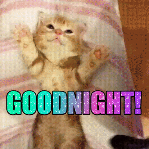 Video gif. Overhead view of a tiny orange and white kitten getting tucked in under a striped towel and pillow, raising its little pink paws in the air as someone scratches its forehead with a long blue fingernail. Text, "Goodnight!'