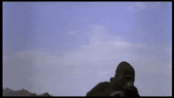 zodiac  GIF
