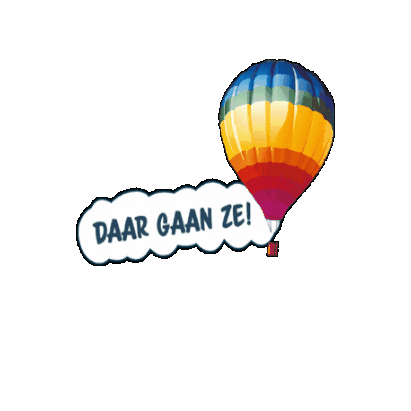 Tersteegeballonfestival Sticker by Ballonfestival Hardenberg