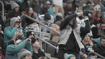 Miami Dolphins Football GIF by Dolfans NYC