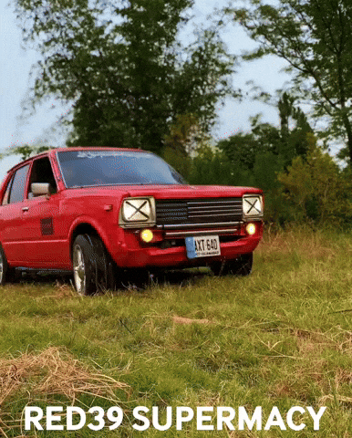 Red39 GIF
